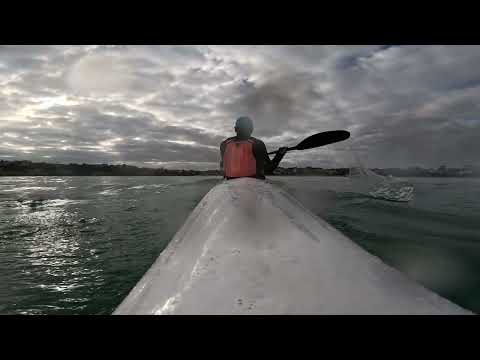Fenn Tarpon