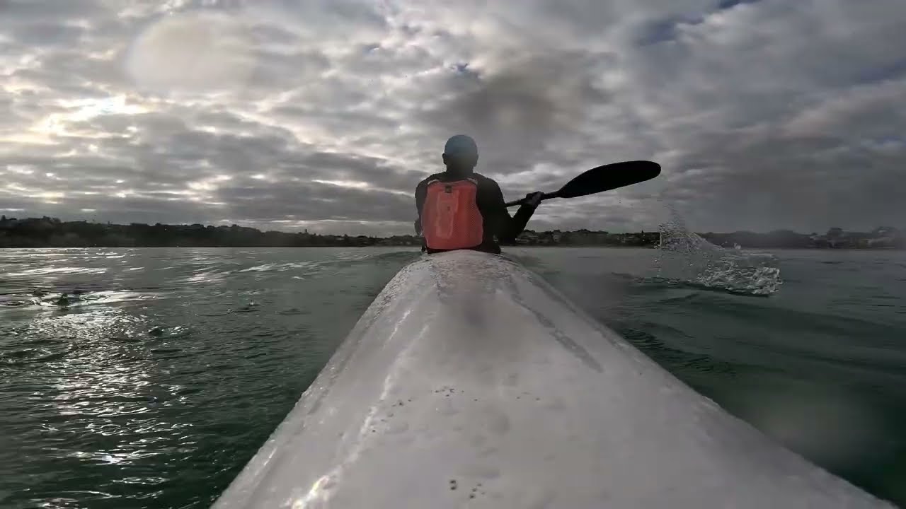 Fenn Tarpon