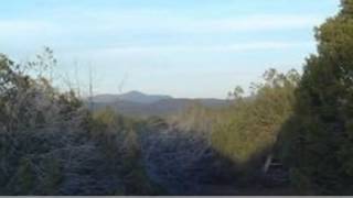 preview picture of video '134 Kaml, Ash Fork, AZ 86320'