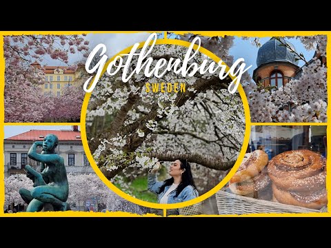 Gothenburg, Sweden - Spring in the city with cherry blossoms - Vår i Göteborg med körsbärsblom