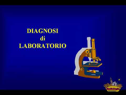 19 Pancreas. Approccio clinico e laboratoristico. Fernando Cirillo