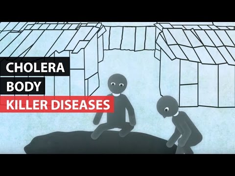 KILLER DISEASES | How the Body Reacts to Cholera
