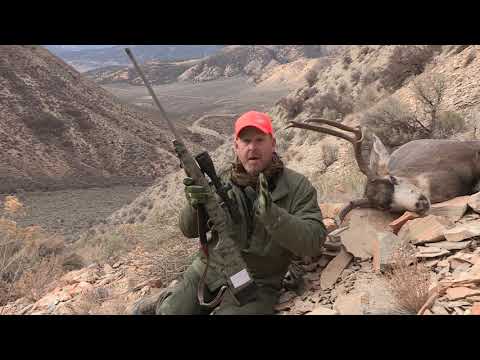 Trijicon Tip — Tim Herald on Long-Range Accuracy