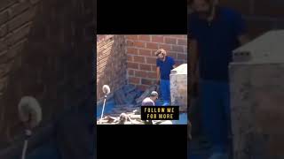 narcos Netflix Pablo's death