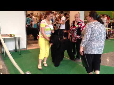 KHARITON Espree 2014