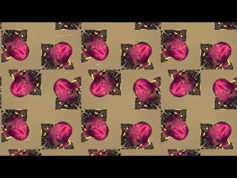 BADSISTA ft. Lari BXD - A Braba do Jaca (Visualizer Oficial)