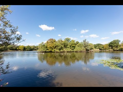 Sensory Walk at Connaught Waters, Epping Forest