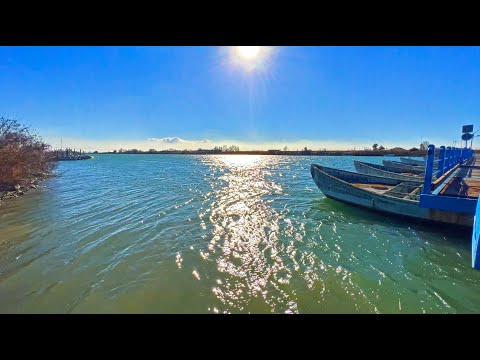 Dall'Abbazia di Pomposa al delta del Po