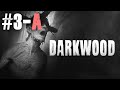 Everything goes wrong | Darkwood Blind #3-A