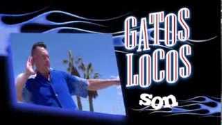 GATOS LOCOS    California Sur 360p)