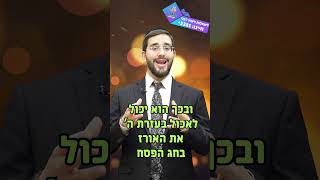 האם מותר לאכול אורז בחג הפסח? | הרב נריה ברבי (הערוץ של ארגון ענפים) - התמונה מוצגת ישירות מתוך אתר האינטרנט יוטיוב. זכויות היוצרים בתמונה שייכות ליוצרה. קישור קרדיט למקור התוכן נמצא בתוך דף הסרטון