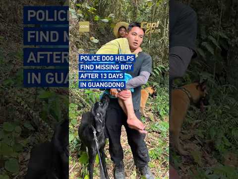 Police dog helps find missing boy after 13 days in Guangdong #coolchina