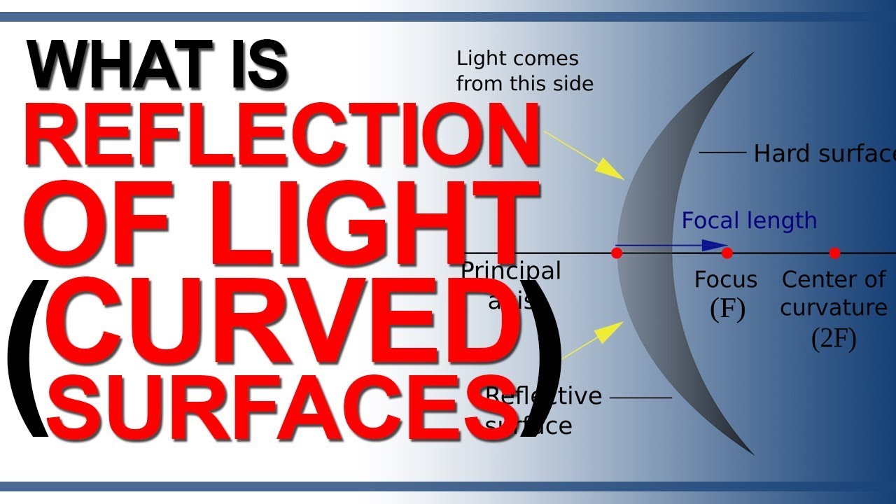 What is Reflection of Light at Curved Surface | Reflection of Light | Grade 10 Physics