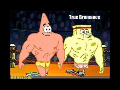 Stephen lynch gay chords Xxx shemale asian young