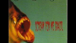 Bruce Dickinson-Laughing in the Hiding Bush