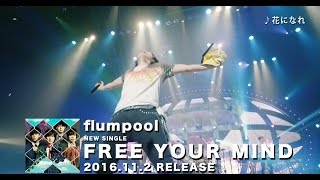 flumpool New Single「FREE YOUR MIND」初回限定盤 DVD Teaser映像