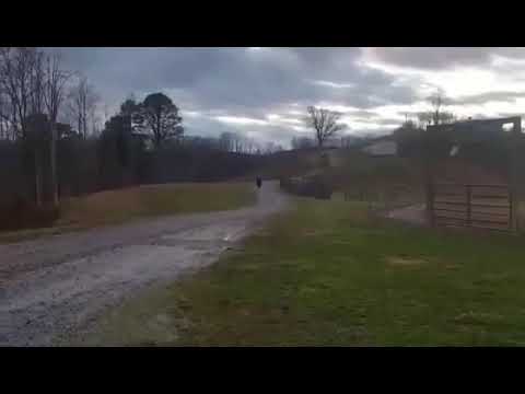 Highway To Hell speed Racking World Champion