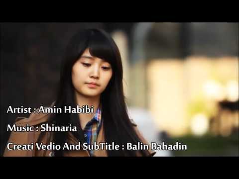 Amin habibi    _  shinaria