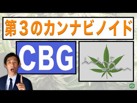カンナビノイドについて詳しく解説