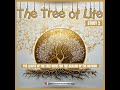 The Tree of Life #2 ''The leaves of the tree were for the healing of the nations'' with Brad wilson