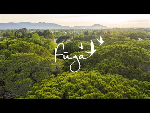 Vidéo Fuga