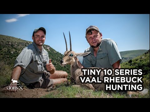 Tiny 10 Series - Vaal Rhebuck Hunting | John X Safaris