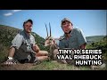 Tiny 10 Series Vaal Rehbockjagd John X Safaris