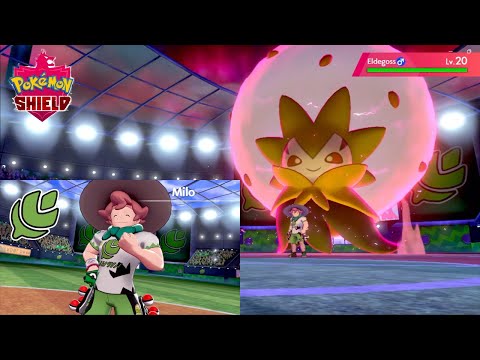 Pokemon Shield - Turffield Gym - Grass Badge #pokemon #walkthrough #pokemonshield #gameplay #gaming
