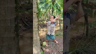 Baby bird is so hungry #babybird #hungry #shorts