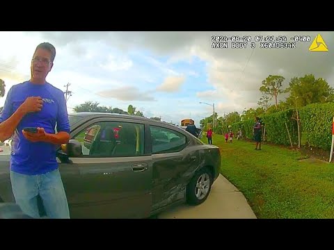 Mom Flees Traffic Stop and Crashes With 4 Kids Inside