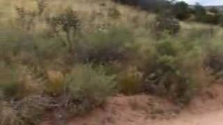 Beth Orton SONG - from vanilla sky soundtrak