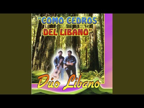 Cuando Termine Mi Carrera