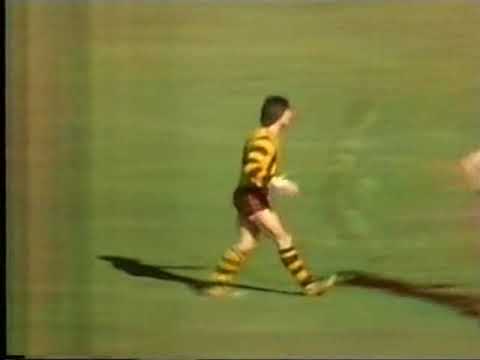 1981 VFL Round 14 Essendon Vs Hawthorn at the Gabba