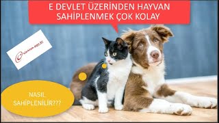 E DEVLET'TE HAYVAN SAHİPLENME DÖNEMİ BAŞLADI! BAŞVURMAK ÇOK BASİT