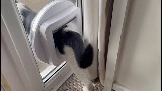 Album cover: Catflap installations 