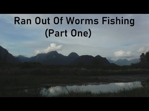 Ran Out Of Worm's (Part One)