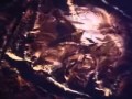 Panzer Dragoon X Tokyo Game Show 2001 Teaser