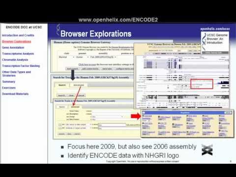Video Tip of the Week: ENCODE enables smaller science