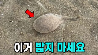  갯벌에 가득 박혀있는 풍선의 충격적 정체 ㄷㄷ