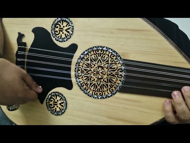عود موسيقي - شريف حجاج