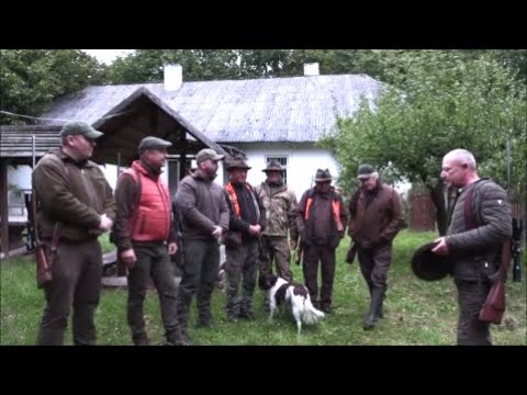 Spotkałem Myśliwych - odcinek 362 Ostrowiecki ,,Jarząbek'' ma 70 lat