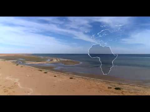 Banc D Arguin In Mauritania Mava Foundation