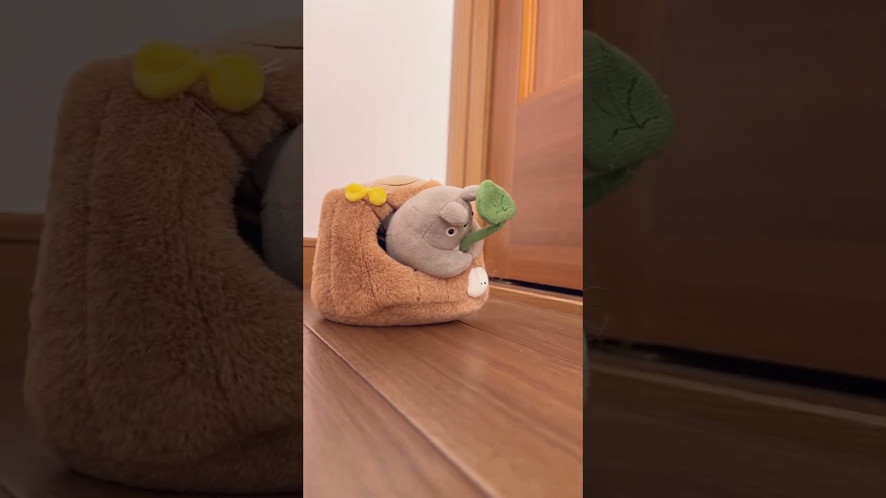 リスに追い出されたトトロ  #shorts