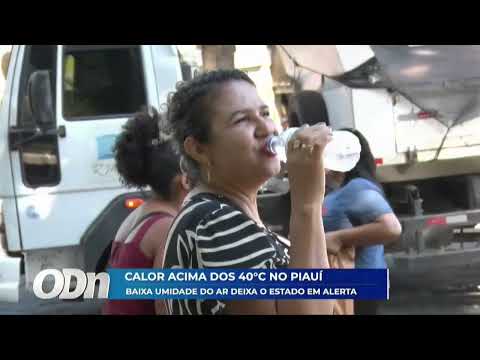 O Dia TV