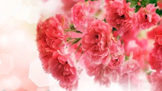 Best Emotional Beautiful Love Song Orchestral Soundtrack | Love Lost