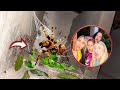 THE GIANT SPIDER BABIES WERE BORN AND I RECORDED EVERYTHING