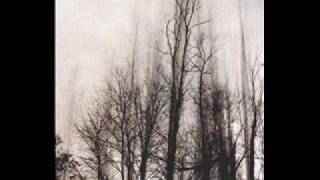 LongTimeGone
