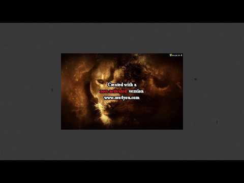 Junior W.S.M & Dj Haloon - Król Lew Cut