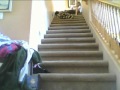 Blanket riding down the stairs! 