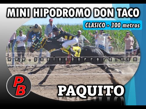 PAQUITO: MINI HIPODROMO DON TACO - LOS CERRILLOS (11-12-2022)